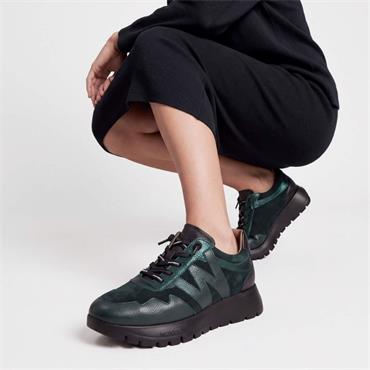 Wonders Odisei Two Tone Bungee Trainer - Deep Green